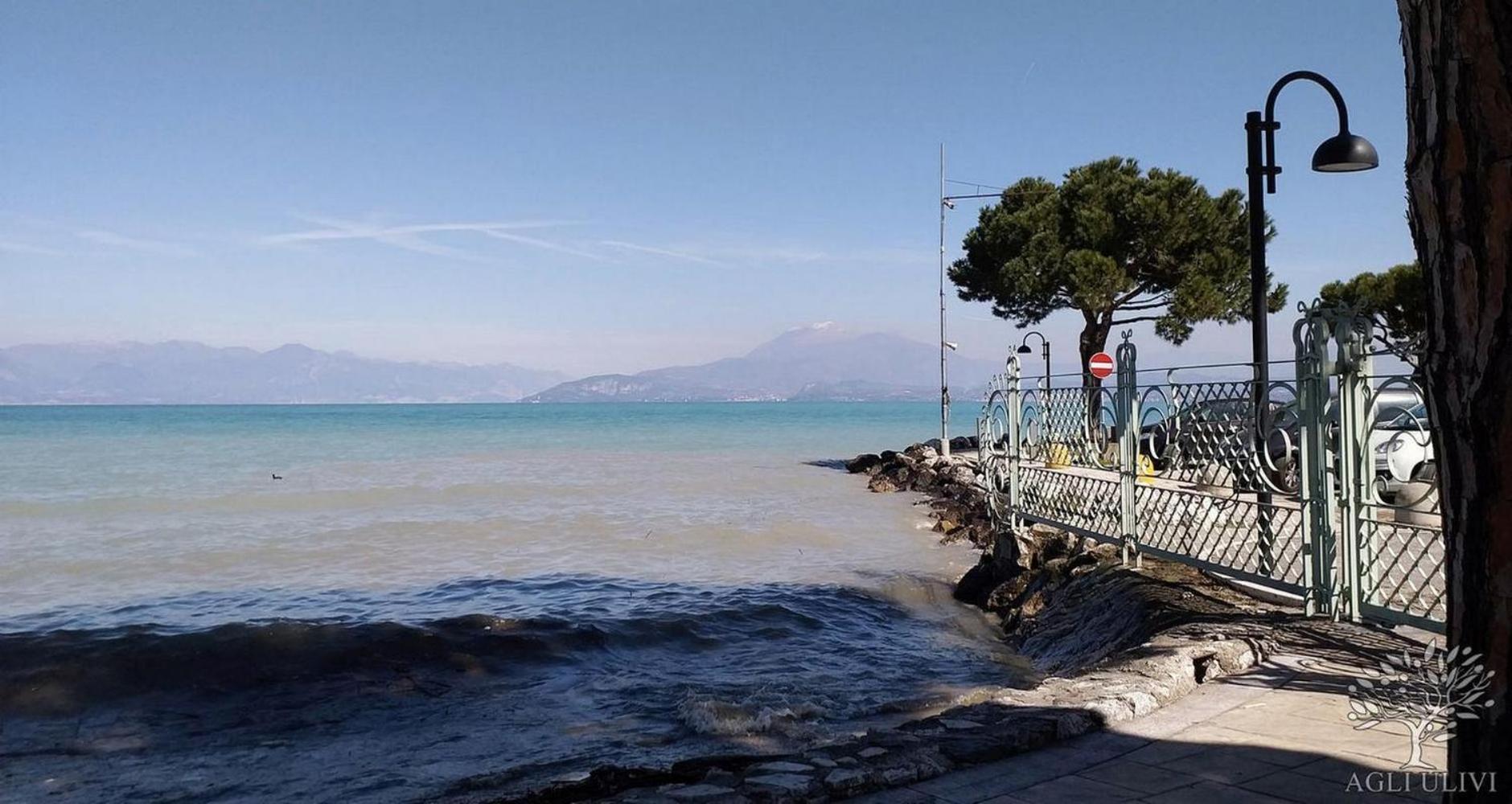 Appartamento Agli Ulivi