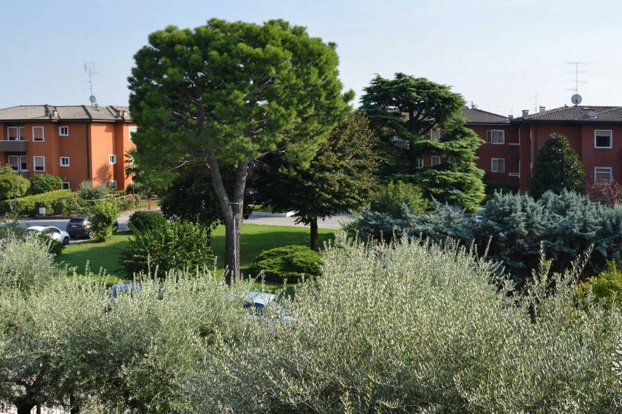 Agli Ulivi Appartamento